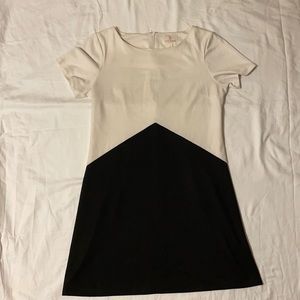 Julia Brown NYC black and white suede A line dress